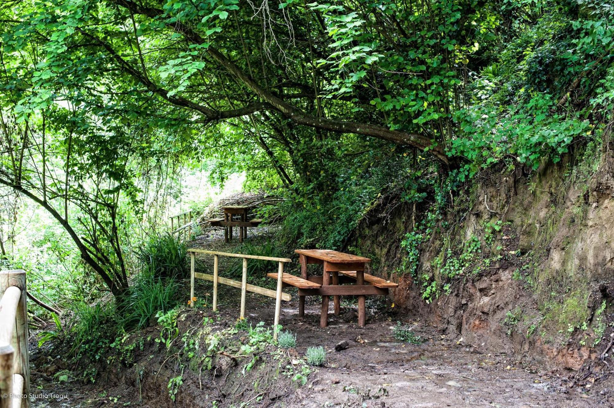 Il Giardino Dei Flintstones B&B เชร์เวเตรี ภายนอก รูปภาพ